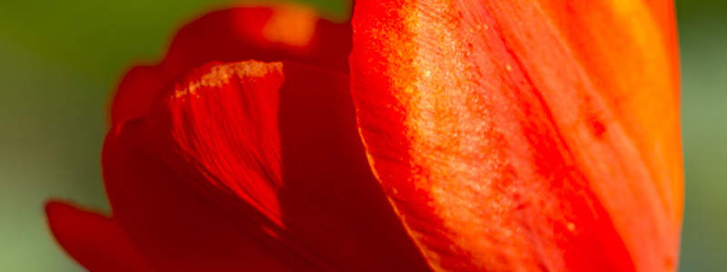 With our assistance, you lastly have a possibility to pay much less for premium quality Keflex as well as obtain the signs under control in a snap.